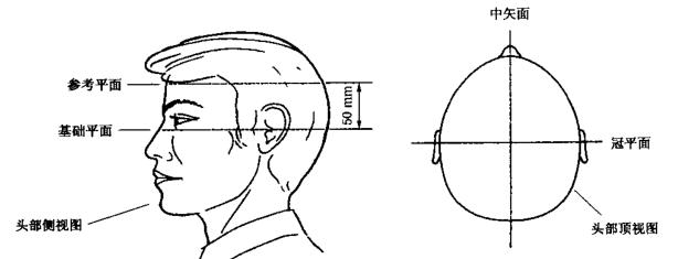 頭部平面示意圖